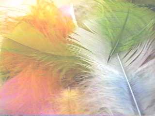 Feather