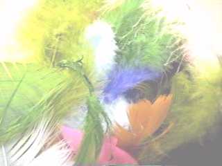 Feather