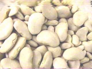 Lima Beans