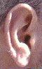 My ear