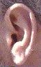 My ear